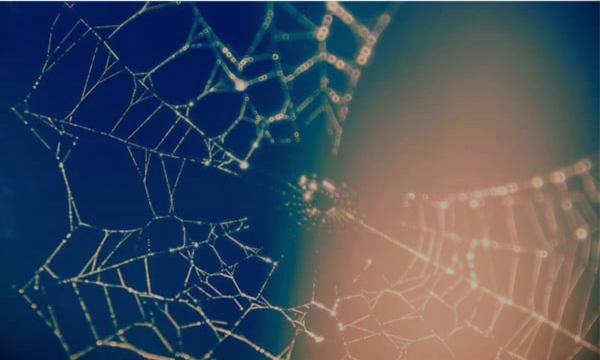 2 BORSE DI STUDIO FINDOMESTIC PER STUDENTI IMMATRICOLATI NELL&rsquo;A.A. 2026/27 ALLA LAUREA MAGISTRALE IN DATA SCIENCE, CALCOLO SCIENTIFICO & INTELLIGENZA ARTIFICIALE.