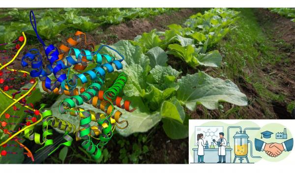Bando di ammissione al corso di laurea in Biotecnologie molecolari e delle produzioni sostenibili per l'a.a 2026/27