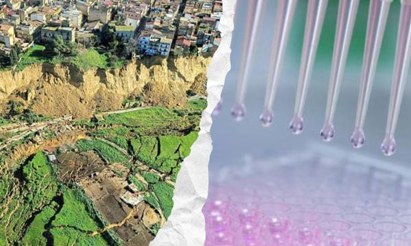 La Scuola di Scienze ha due nuovi corsi di laurea.