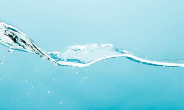 World Water Day 2026: seminario e mostra presso il D4- polo di Novoli.