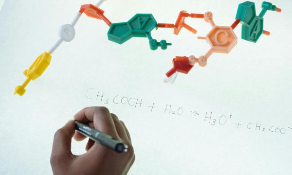 Pubblicato il bando di ammissione al corso di laurea in Scienze Biologiche (L-13) per l’a.a 2025/26.