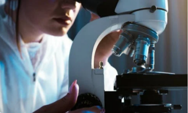 N. 1 borsa di studio per biologi/biotecnologi per attivit&agrave; di studio e ricerca sulle cellule mesenchimali per Cell Factory