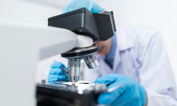 Avviso pubblico di selezione per n.1 borsa di studio presso l'ufficio Trasferimento Tecnologico, IRCCS Centro di Riferimento Oncologico di Aviano