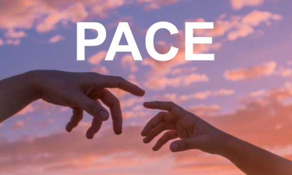 Solidarietà alle Università ucraine. L'invito alla riflessione della rettrice Petrucci 