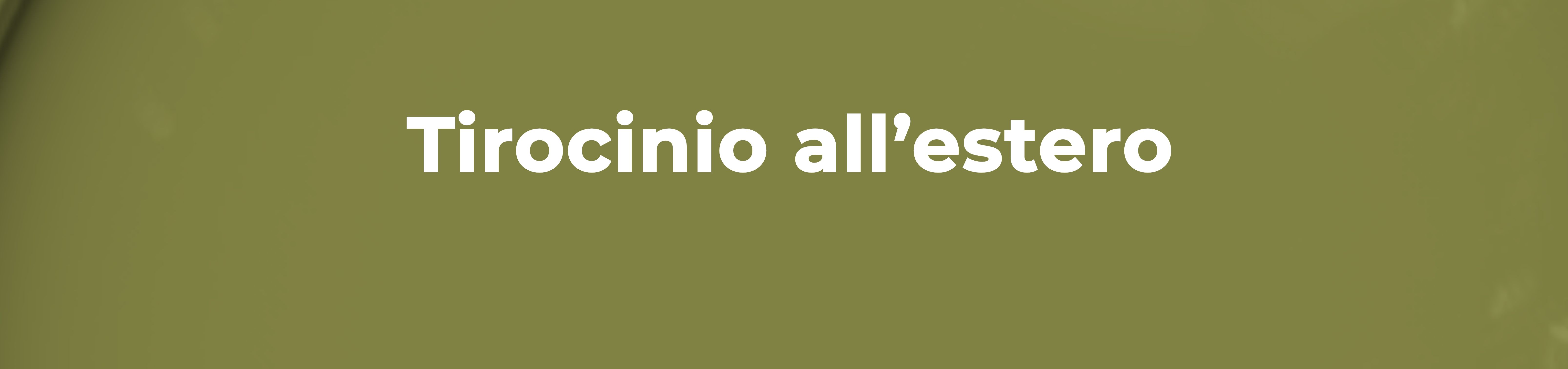 4 (4)